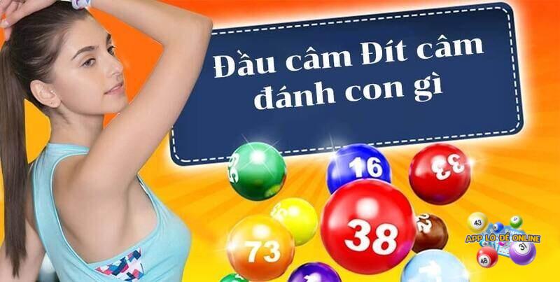 Đầu đít câm là gì?