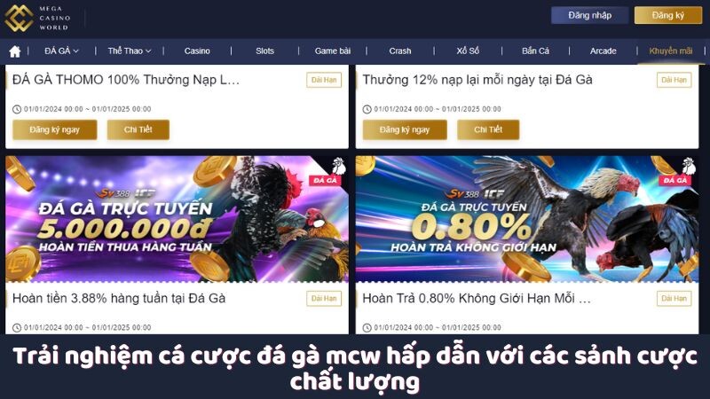 Cách MCW hỗ trợ người chơi đá gà mcw thành công