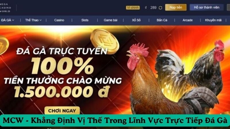 Giới thiệu chung về MCW