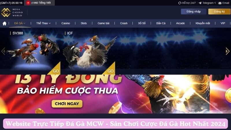 Các ưu điểm làm nên tên tuổi của trang web đá gà trực tiếp MCW