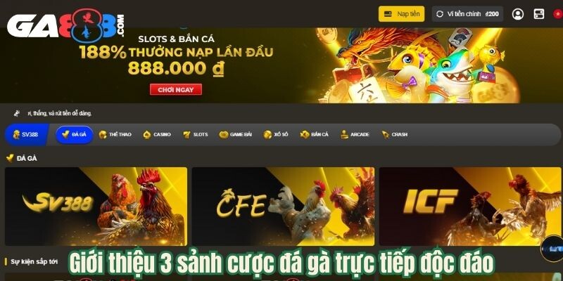 Giới thiệu 3 sảnh cược đá gà trực tiếp độc đáo